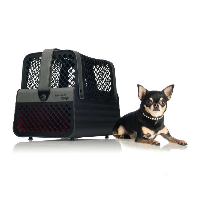 4Pets Penthouse Montreal Set